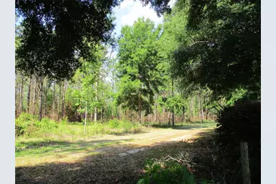 14272 SW 112th Circle, Dunnellon, FL 34432 - Photo 2