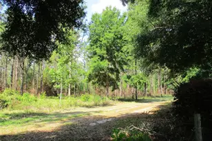 14272 SW 112th Cir, Dunnellon, FL 34432 - Photo 2