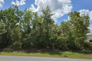 50th Circle SW, Ocala, FL 34473 - Photo 1