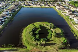 1739 Broad Winged Hawk Dr, Ruskin, FL 33570 - Photo 86