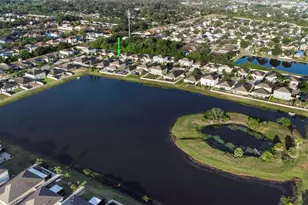 1739 Broad Winged Hawk Dr, Ruskin, FL 33570 - Photo 84