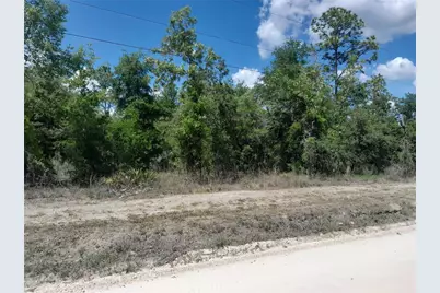 Tbd NE 63rd Place, Williston, FL 32696 - Photo 2