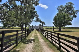 7970 SW 140th Ave, Dunnellon, FL 34432 - Photo 16