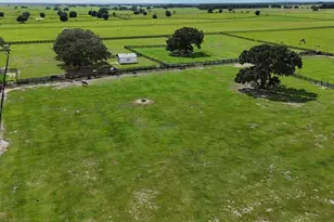 7970 SW 140th Ave, Dunnellon, FL 34432 - Photo 40