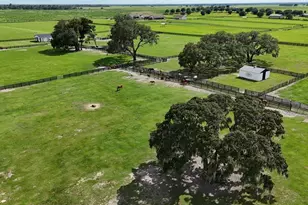 7970 SW 140th Ave, Dunnellon, FL 34432 - Photo 42