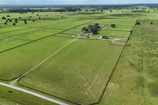 7970 SW 140th Ave, Dunnellon, FL 34432 - Photo 28