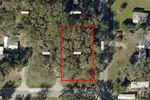 Tbd SE 51st Ct, Summerfield, FL 34491 - Photo 1