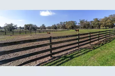 13855 NW 27th Avenue, Citra, FL 32113 - Photo 12