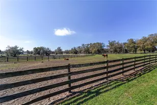 13855 NW 27th Ave, Citra, FL 32113 - Photo 12