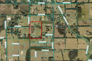 13855 NW 27th Ave, Citra, FL 32113 - Photo 86