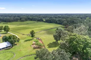 13855 NW 27th Ave, Citra, FL 32113 - Photo 74