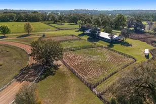 13855 NW 27th Ave, Citra, FL 32113 - Photo 14