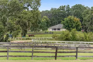 13855 NW 27th Ave, Citra, FL 32113 - Photo 44