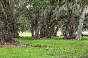 13855 NW 27th Ave, Citra, FL 32113 - Photo 48