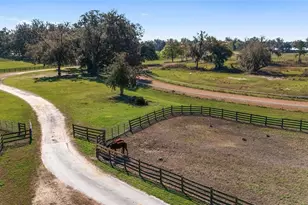 13855 NW 27th Ave, Citra, FL 32113 - Photo 10