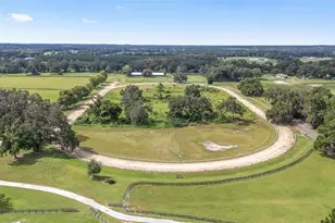 13855 NW 27th Ave, Citra, FL 32113 - Photo 72