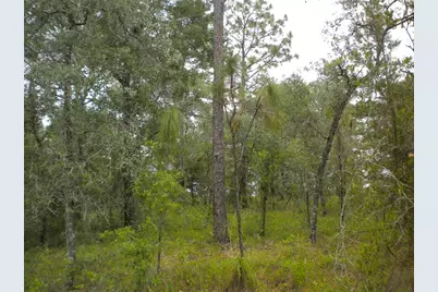 Blk 25 Lot 16 NW Buena Vista Road, Dunnellon, FL 34431 - Photo 18