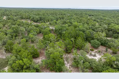 Blk 25 Lot 16 NW Buena Vista Road, Dunnellon, FL 34431 - Photo 14