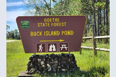 Blk 25 Lot 16 NW Buena Vista Road, Dunnellon, FL 34431 - Photo 6