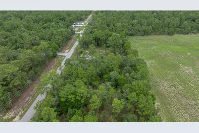 Blk 25 Lot 16 NW Buena Vista Road, Dunnellon, FL 34431 - Photo 12
