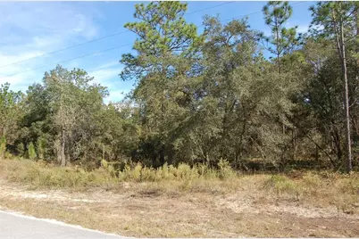 Lombardy Lane, Dunnellon, FL 34431 - Photo 4