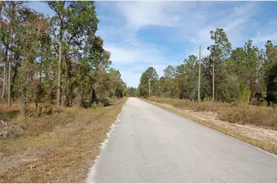 Lombardy Lane, Dunnellon, FL 34431 - Photo 2
