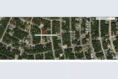 8797 N Vienna Drive, Citrus Springs, FL 34433 - Photo 2