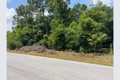 Tbd SE 98th Court, Summerfield, FL 34491 - Photo 2