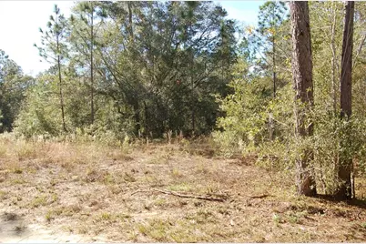 Tdb SW 29 Place, Ocala, FL 34481 - Photo 2