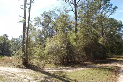 Tdb SW 29 Place, Ocala, FL 34481 - Photo 4