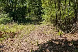 0 NW 202nd Pl, Mc Intosh, FL 32664 - Photo 1