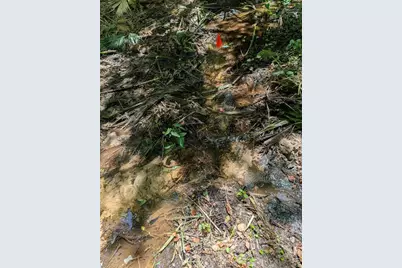 0 NW 202nd Place, Mc Intosh, FL 32664 - Photo 2