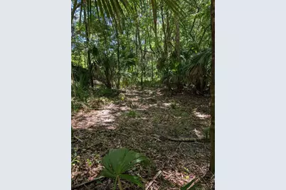 0 NW 202nd Place, Mc Intosh, FL 32664 - Photo 4