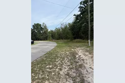 Tbd SW 128th Place, Ocala, FL 34473 - Photo 1