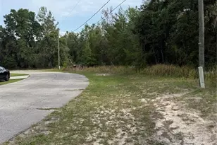 Tbd SW 128th Pl, Ocala, FL 34473 - Photo 1