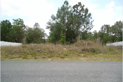 0 SW 62 Circle, Ocala, FL 34476 - Photo 2
