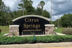 9016 N Lansen Way, Citrus Springs, FL 34433 - Photo 8