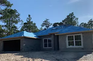 9016 N Lansen Way, Citrus Springs, FL 34433 - Photo 2