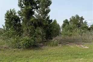 Tbd SW 129th Ln, Ocala, FL 34473 - Photo 1