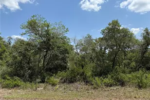 Tbd Fisher Loop, Ocklawaha, FL 32179 - Photo 1