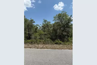 Tbd Fisher Loop #36, Ocklawaha, FL 32179 - Photo 2