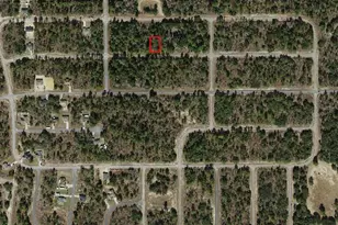 2321 W Bentley St, Dunnellon, FL 34434 - Photo 1