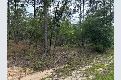 Tbd NW Foxglove Lane, Dunnellon, FL 34431 - Photo 4