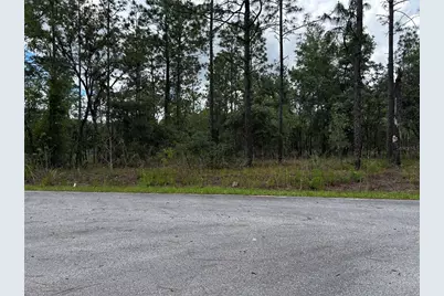 Tbd NW Foxglove Lane, Dunnellon, FL 34431 - Photo 6