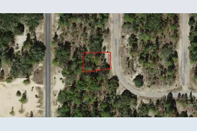 6682 N Sand Drive, Dunnellon, FL 34433 - Photo 2