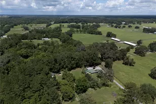4091 NE 185 Ave, Williston, FL 32696 - Photo 92