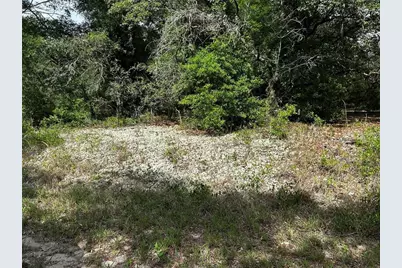 Tbd Uplands Avenue, Dunnellon, FL 34431 - Photo 2