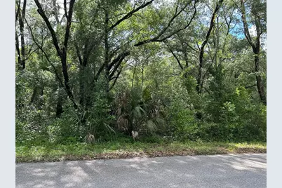 Tbd Uplands Avenue, Dunnellon, FL 34431 - Photo 4