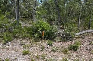 Tbd SW 57th Ave, Interlachen, FL 32148 - Photo 1