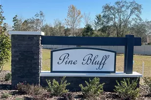 4858 Sutherland St, Spring Hill, FL 34609 - Photo 4